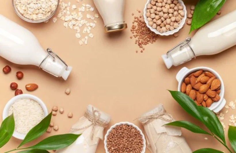 vegan dairy manufcaturing by goma