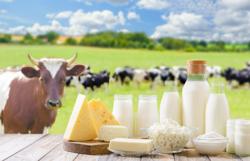 Dairy Industry Trends