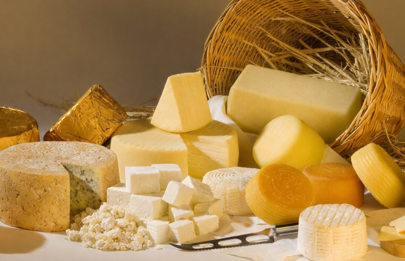 Cheese and paneer plant by Goma