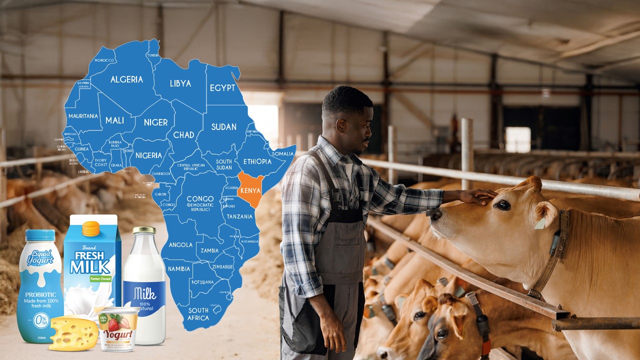 Kenya’s Dairy & Milk Processing Industry with Goma