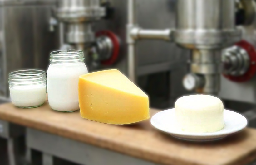 Yogurt, Cheese, and Butter production of Goma 