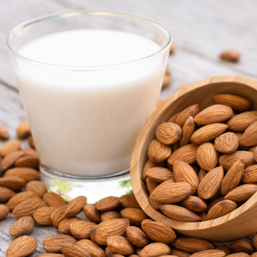 Almond Milk Processing Plant