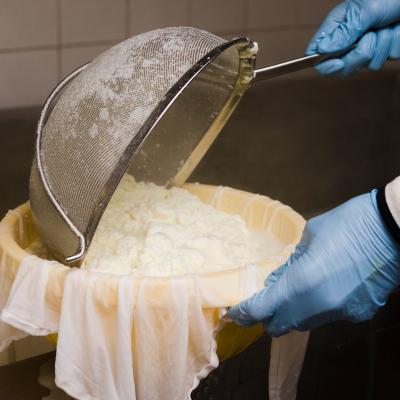 Whey Collection and Processing