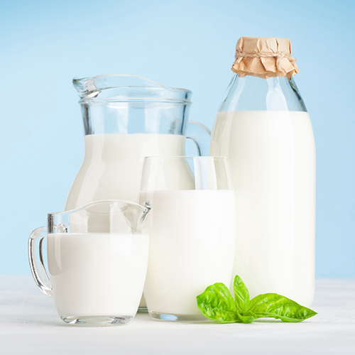 MIlk processing plant by Goma