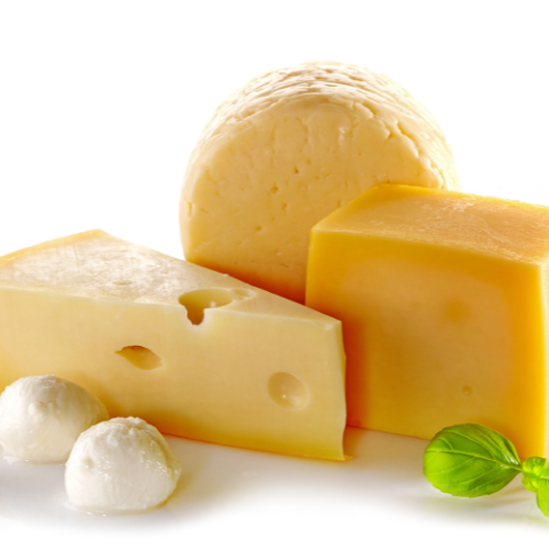 Vegan cheese plant by Goma