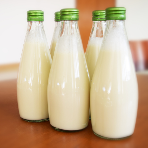 Flavoured Milk Processing