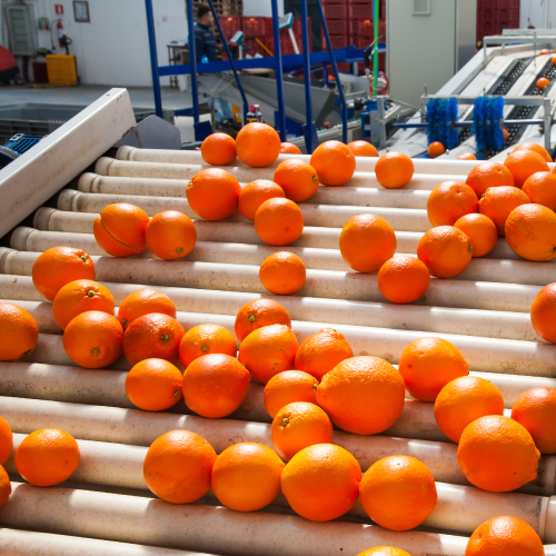 Fruit Processing Plant By Goma 